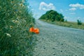 Countryside road with meadow on a side Royalty Free Stock Photo