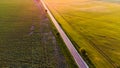 Countryside road with no cars between two corn fields Royalty Free Stock Photo