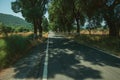 Countryside road shaded by trees alongside Royalty Free Stock Photo