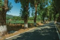 Countryside road shaded by trees alongside Royalty Free Stock Photo