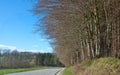A countryside road in spring with blue sky background and copy space. A nature landscape of an empty roadway winding