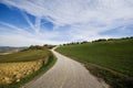 Countryside road, Umbria Royalty Free Stock Photo