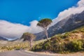 Countryside road by winding through the mountains on a scenic day. Street on the mountain with green trees and cloudy Royalty Free Stock Photo