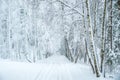 Landscape road in winter, frozen covered with snow birch trees Royalty Free Stock Photo