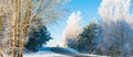 Landscape road in winter, frozen covered with snow birch trees Royalty Free Stock Photo