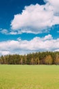 Countryside Rural Field Or Meadow Landscape With Green Grass On Foreground And Forest On Background Under Scenic Spring Royalty Free Stock Photo