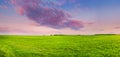 Countryside Rural Field Or Meadow Landscape With Green Grass Under Scenic Spring Sunset Sunrise Sky. Panorama Of Royalty Free Stock Photo