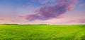 Countryside Rural Field Or Meadow Landscape With Green Grass Under Scenic Spring Sunset Sunrise Sky. Panorama Of Royalty Free Stock Photo