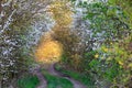 Countryside rural forest path in spring time Royalty Free Stock Photo