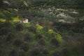 A countryside rural house, a farmhouse in the olive grove valley in mountains in the province of Jaen in Spain at sunset