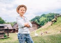 Countryside scene : Boy shepherd geese Royalty Free Stock Photo