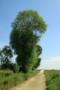 Countryside scenery in northern China Royalty Free Stock Photo