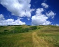 Countryside scenery in Ontario