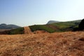 Countryside, Segesta, Sicily Royalty Free Stock Photo