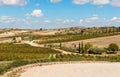 Countryside Sicilian landscape with the vineyards of the Campobello of Licata in province of Agrigento