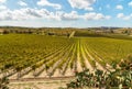 Countryside Sicilian landscape with the vineyards of the Campobello of Licata in province of Agrigento Royalty Free Stock Photo