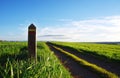 Countryside single track road in a grass field