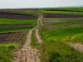 Countryside spring landscape of plowed fields. Green grass and path between the fields. Ponidzie. Poland Royalty Free Stock Photo