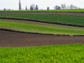 Countryside spring landscape of plowed fields. Green grass and and trees. Ponidzie. Poland Royalty Free Stock Photo