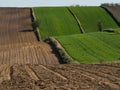 Countryside spring landscape of plowed fields. Green grass and trees. Ponidzie. Poland Royalty Free Stock Photo