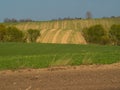 Countryside spring landscape of plowed fields. Green grass and trees. Ponidzie. Poland Royalty Free Stock Photo