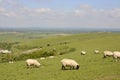 Countryside at Steyning. Sussex. England Royalty Free Stock Photo