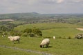 Countryside at Steyning. Sussex. England Royalty Free Stock Photo