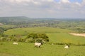 Countryside at Steyning. Sussex. England Royalty Free Stock Photo