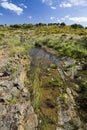 Countryside stream of water