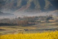 Countryside sunrise and mist in Yunan