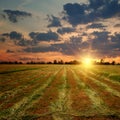 Countryside sunset on the field Royalty Free Stock Photo