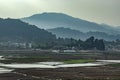 Countryside tarnish framing rice field with mountain background at morning