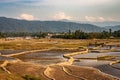 Countryside tarnish framing rice field with mountain background at morning