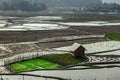 Countryside tarnish framing rice field with small resting hut at morning