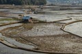 Countryside tarnish framing rice field with small resting huts at morning