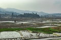 Countryside tarnish framing rice field with small resting huts and mountain background at morning