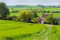 Countryside track Royalty Free Stock Photo