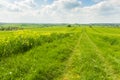 Countryside track