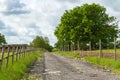 Countryside track Royalty Free Stock Photo