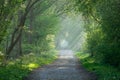 Countryside track and sunbeams Royalty Free Stock Photo