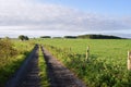 Countryside trail in Ardennes from belgium Royalty Free Stock Photo