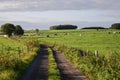 Countryside trail in Ardennes from belgium Royalty Free Stock Photo