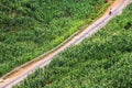 Countryside in Vietnam Royalty Free Stock Photo