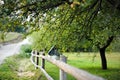 Countryside view with a fence and a tree