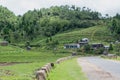 Countryside View Mawsynram, India