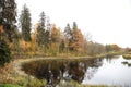 Countryside view of small pond and yellow forest trees near water in late autumn Royalty Free Stock Photo