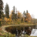 Countryside view of small pond and yellow forest trees near water in late autumn Royalty Free Stock Photo