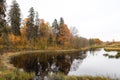 Countryside view of small pond and yellow forest trees near water in late autumn Royalty Free Stock Photo