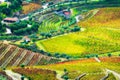 Countryside with vineyards in Douro river valley in Portugal Royalty Free Stock Photo