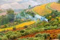 Countryside with vineyards in Douro river valley in Portugal Royalty Free Stock Photo